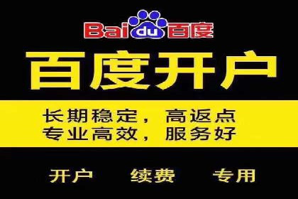 成功案例：SEM竞价代运营助力企业实现持续增长