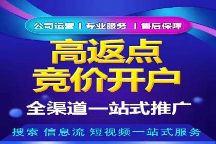 充值高返点背后的策略与技巧：案例分析